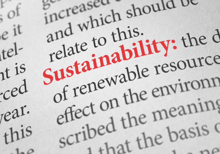 The word sustainability highlighted in red with a part description of its meaning