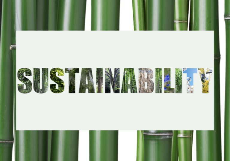 Types of Sustainability