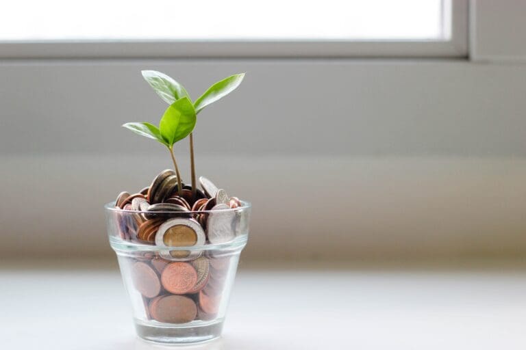 A small green plant growing in a plastic cup filled with coins