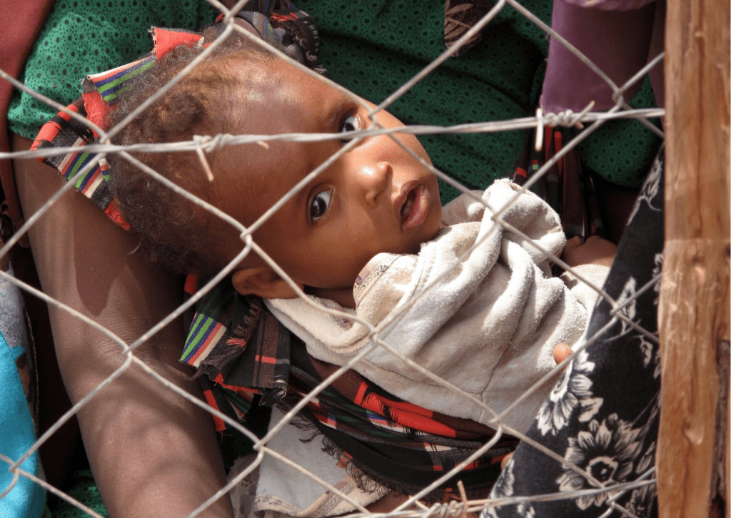 Small black child looking through barbed wire fence 