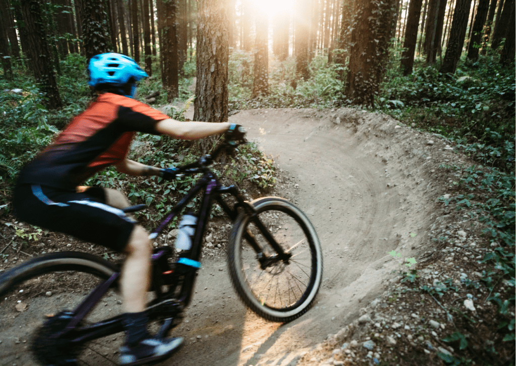 Rider on mountain bike in a forest, speeding around a corner- native forests more valuable left standing.