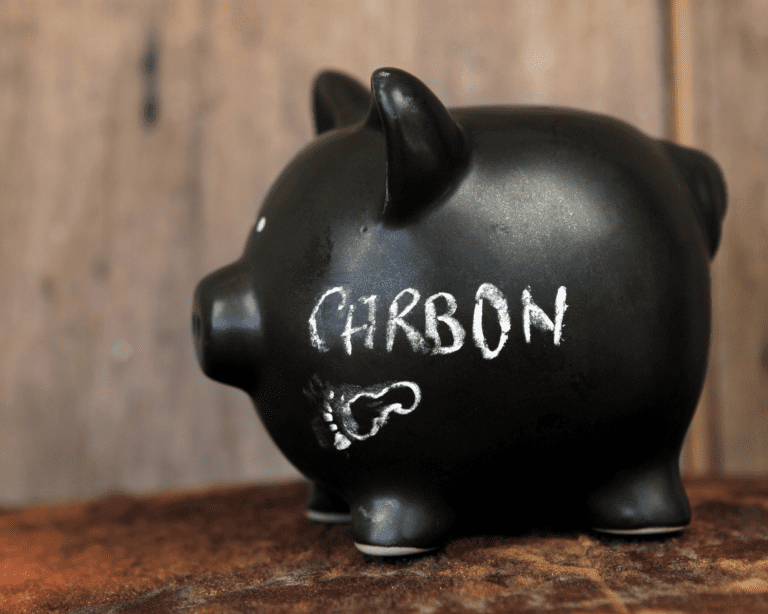 profile of black pig shaped money box with the word carbon and a drawing of a footprint on the side in white chalk