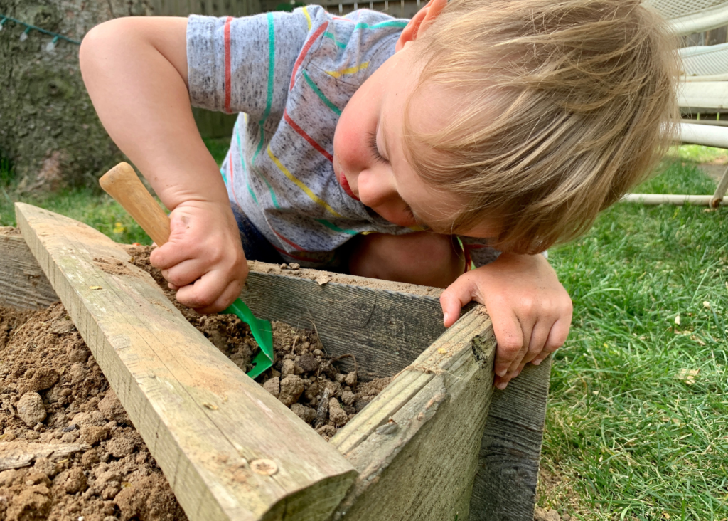 A small child digging in a raised wooden garden bed with a child's green garden fork.