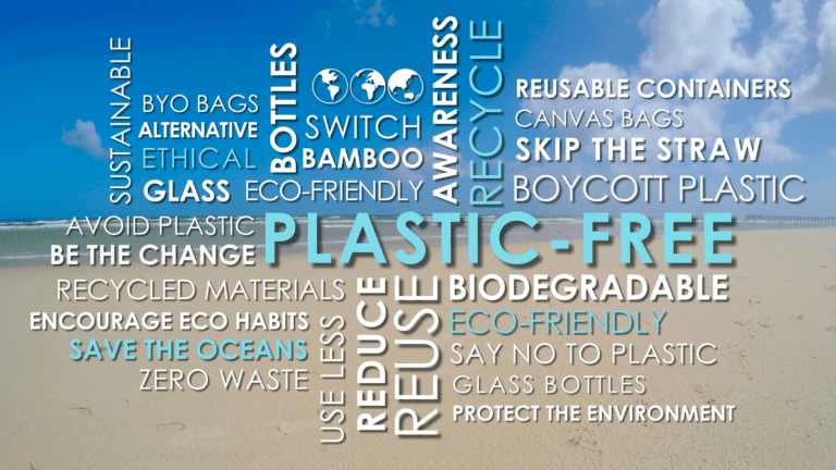 Scene of a beach with an overlay of multiple plastic free related words in blue and white