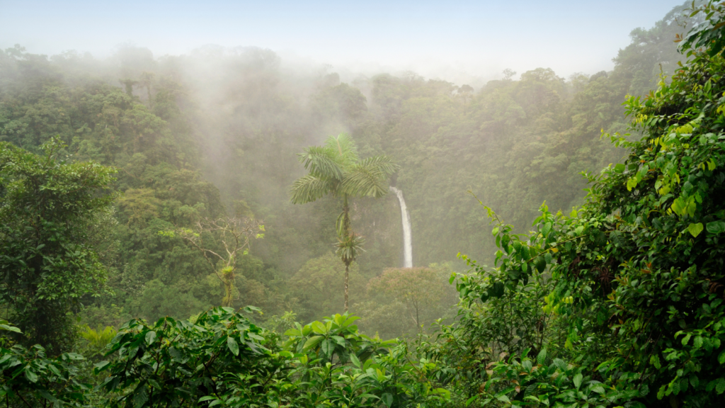 Rainforest in Costa Rica with water fall in the distance