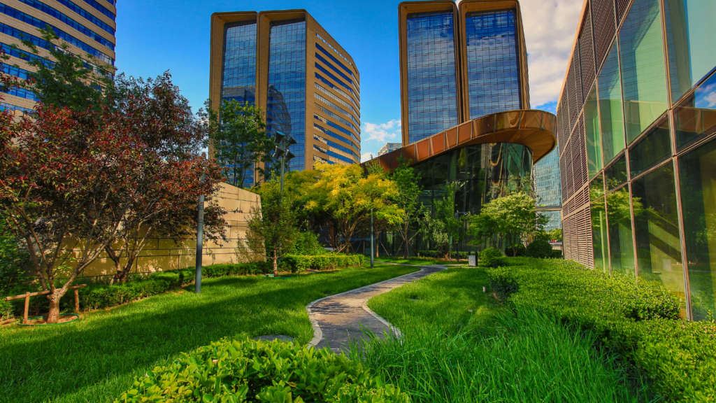 fresh green space in the city