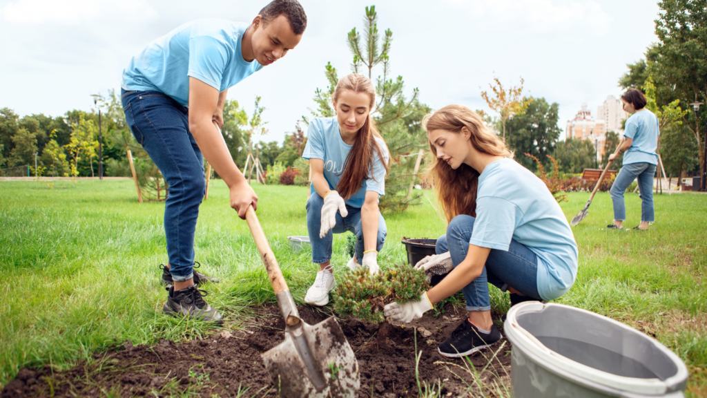 A group of young people planting a tree