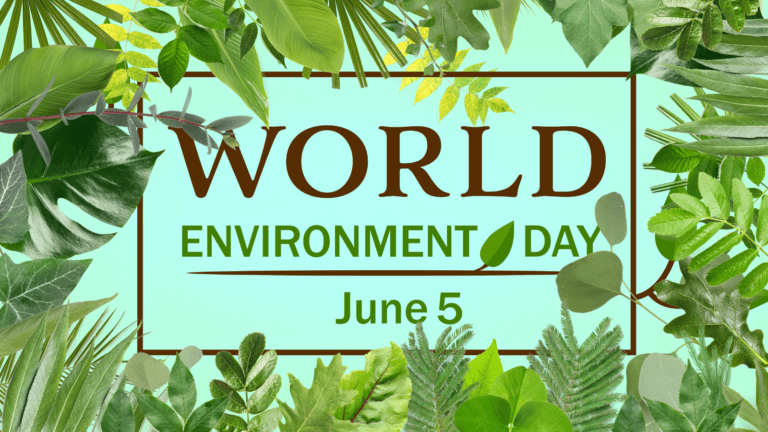 Celebrating Nature—The Importance of World Environment Day