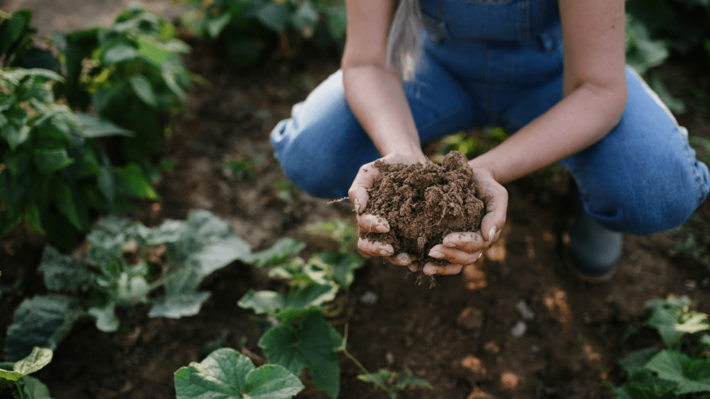 A farmer holding a handful of precious soil.