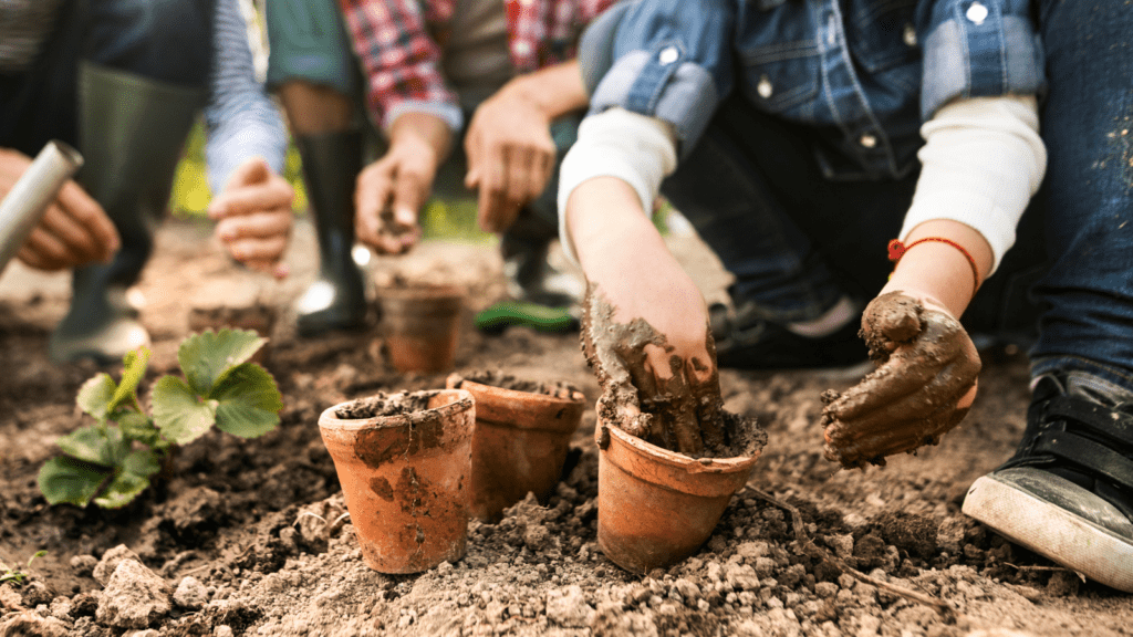 A compost or worm farm at a kindergarten