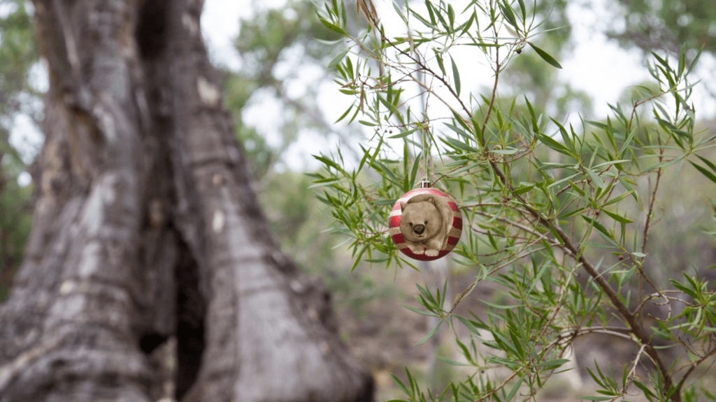 Australian bush with a wombat Christmas bauble hanging in a tree