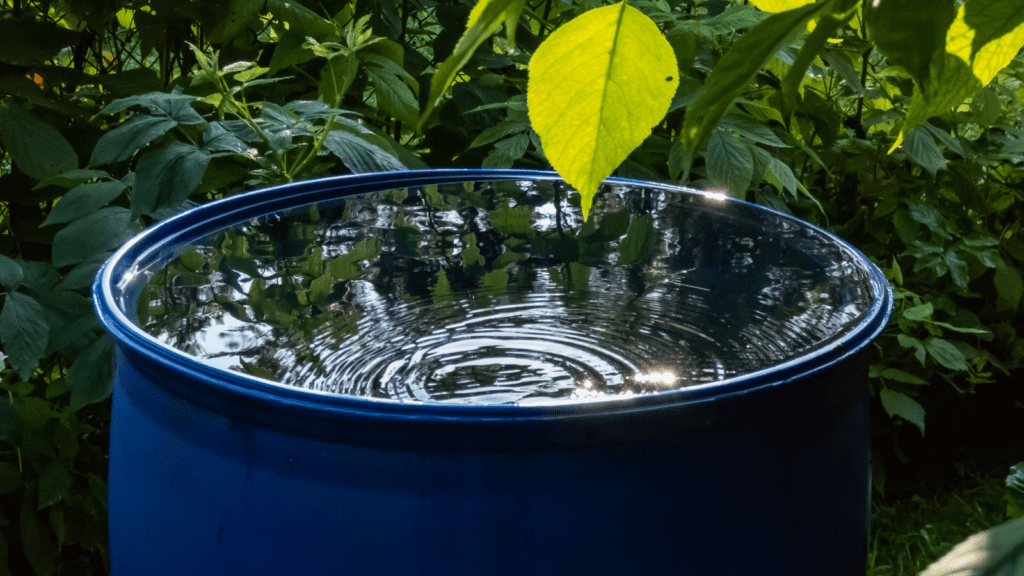 An open water tank collecting water for the garden.