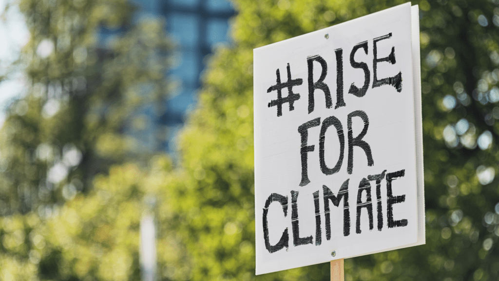 A climate change demonstration placard stating #RISE FOR CLIMATE