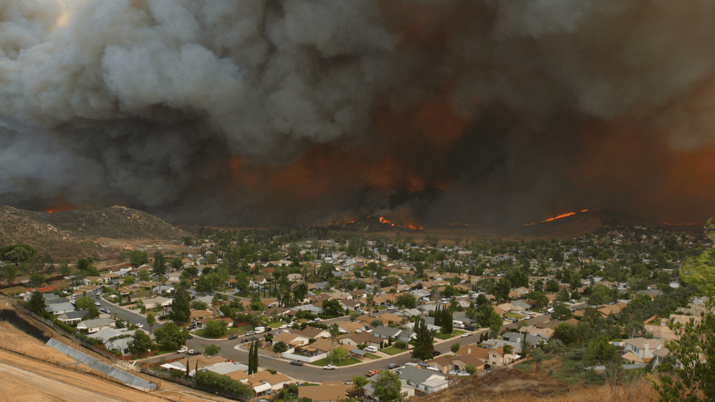 Wildlife–urban interface where fires encroach populated areas