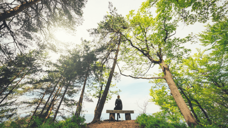 Back view of a woman sitting quietly on a bench, practising mindfulness, in a forest.
